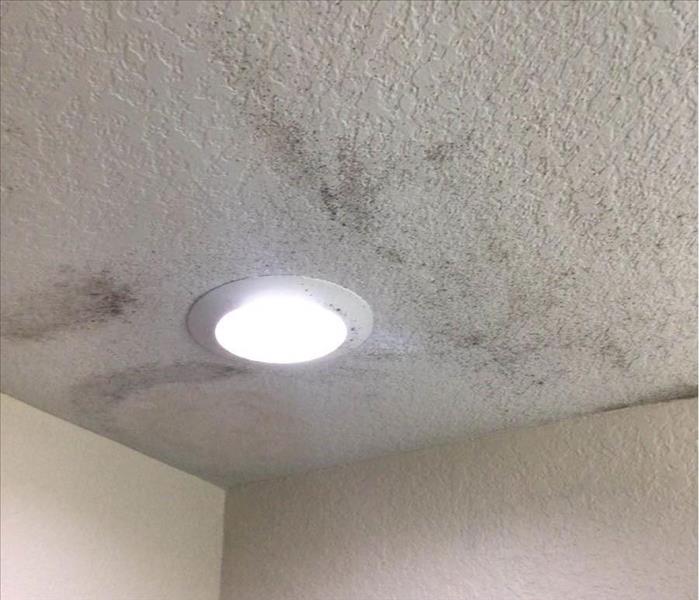 Shadows from water damage on ceiling. 