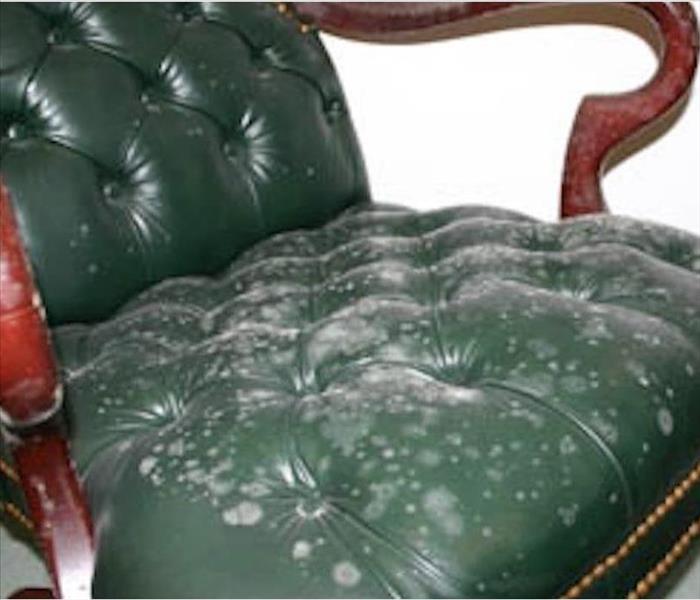 Mold covering leather chair.