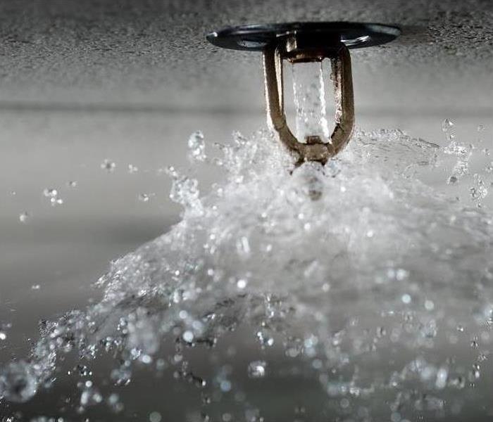 a sprinkler gushing water 